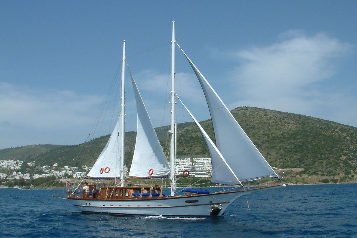 22 m / 72 ft