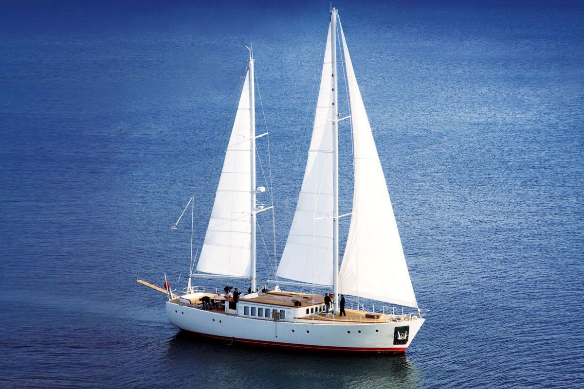 24 m / 78 ft